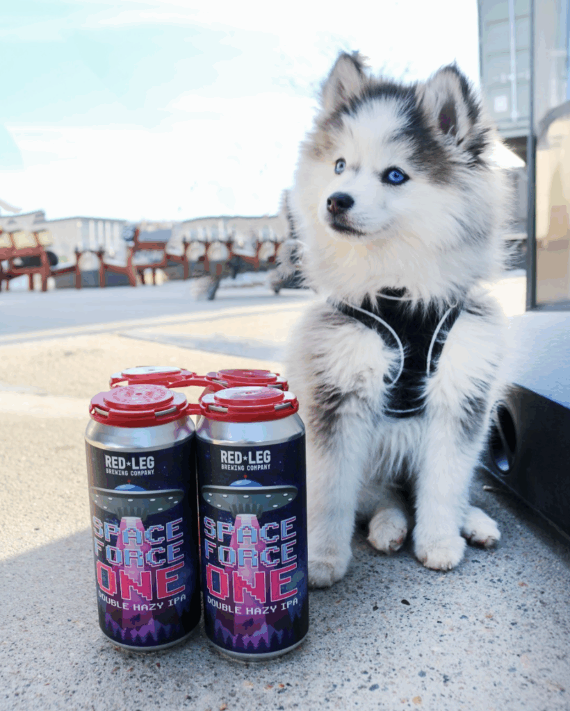 Red Leg Brewery Dog-Friendly Colorado Springs
